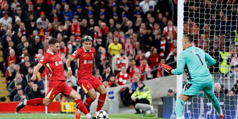 Những khía cạnh cốt lõi tạo nên tính chính xác khi chọn cửa